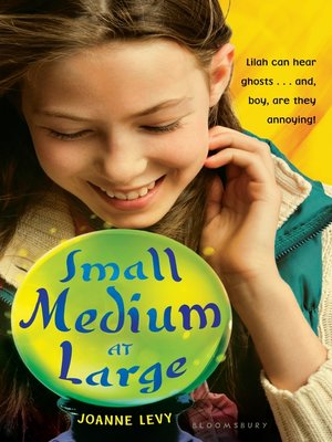 cover image of Small Medium at Large